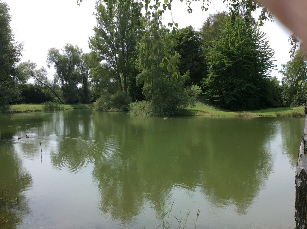 Camping Du Ried Boofzheim المظهر الخارجي الصورة